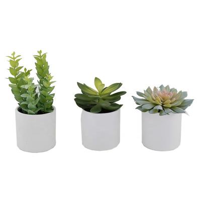 China Durable Realistic Artificial Succulent Home Accessories Plant Decoration Artificial Succulent Plants In Ceramic Pot for sale