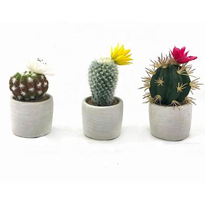 China Home Decor Desktop Cactus Succulents Durable Artificial Potted Plants Bonsai In Cement Pot for sale