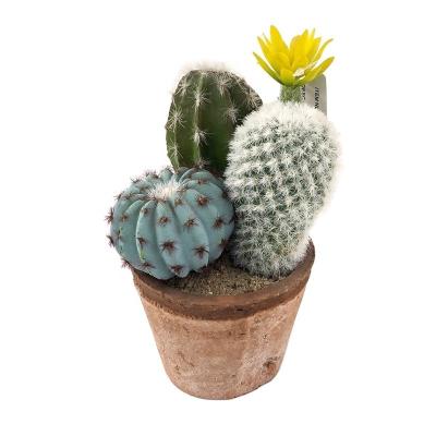 China Amazon Long Lasting Best Selling Cement Succulent Potted Artificial Succulents Plants Plants for sale