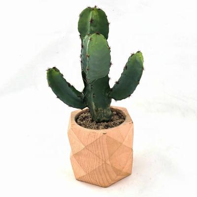 China Durable Best Selling Potted Artificial Succulent Plants Artificial Cylindrical Cactus Plants for sale