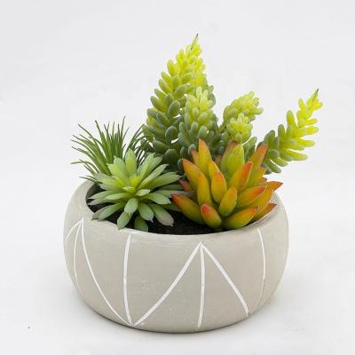 China Plastic Durable Home Decoration Simulation Grass Artificial Succulents Plants With Cement Pots for sale