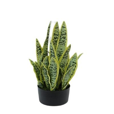 China Minimalist Tipical Real Touch Light Yellow / Green Artificial Plastic Sansevieria Plants for sale