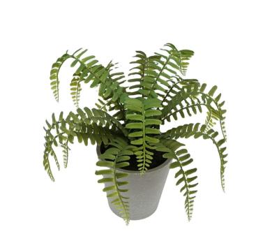 China Durable Amazon Sell Well Plants 28CM Artificial Plastic Boston Fern With Pot Decor for sale