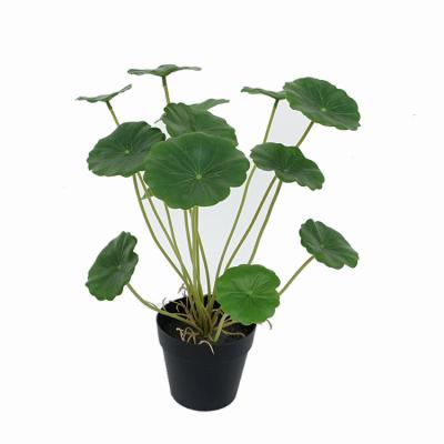 China Minimalist Simulation Coingrass 30cm Real Touch Artificial Hydrocotyle Indoor Potted Plants For House Office Decoration for sale