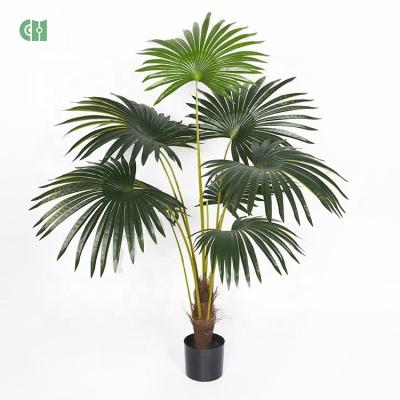 China New Product 160cm 1.6m Indoor Artificial Palm Tree Real Touch Minimalist Fan Palm Tree For Home Decor Sale for sale