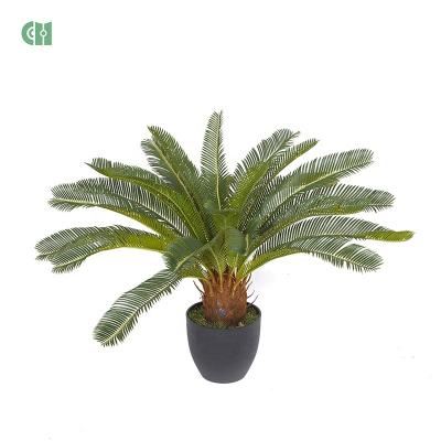 China 2021 New Arrival Minimalist Plastic Cycas Plant, 72Cm Artificial Artificial Plastic Cycas Plant Decoration for sale