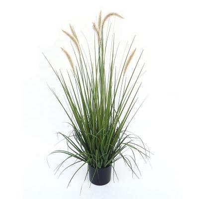 China Wholesale Price Garden Decoration Artificial Dry Minimalist Flower Pampas Grass 7 Heads 90cm Foxtail Artificial Bonsai In Plastic Pot for sale