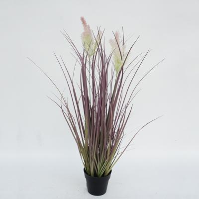 China Potted Bristlegrass Minimalist Indoor High Quality Artificial Plant House Decor 2 Heads 57cm In Plastic Pot for sale