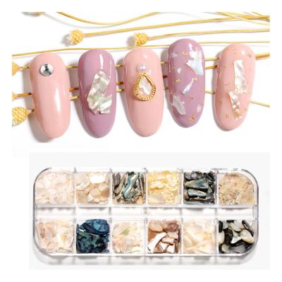 China Nail Art Decoration 12 Colors/Mixed Ultra-thin Japanese Stone Abalone Shell Fragments Nail Art Shell Piece Jewelry Set for sale