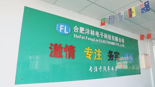 Verified China supplier - Hefei Fenglin Electronic Co., Ltd.