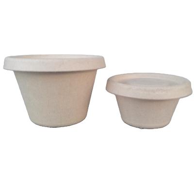 China Econewleaf Wholesale 100% Biodegradable Bagasse Sugar Cane Coffee Tea Cup Party Eco-Friendly Disposable Cup With Lid for sale