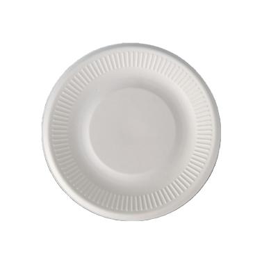 China Disposable Biodegradable Sugarcane Bagasse Dinnerware 12