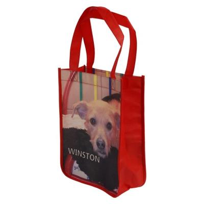 China New custom biodegradable waterproof pet handled recycled eco tote bag high quality zippered eco friendly wholesale for sale