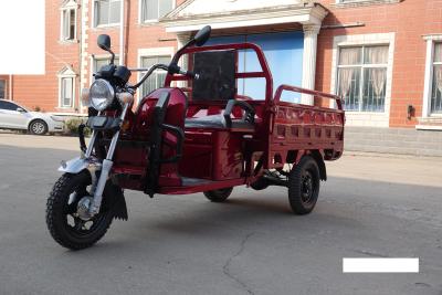 China 1000W elektrische Autoped Met drie wielen Drie Wielen voor het Zuur van het Ladings60v Lood Te koop