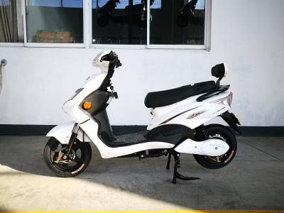 China El mejor pedal de plomo del EEC 48V20AH 1200W ayudó a la vespa eléctrica en venta