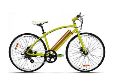 Chine 36V250W refroidissent le vélo de montagne électrique le plus rapide de sport avec l'assistant de pédale à vendre