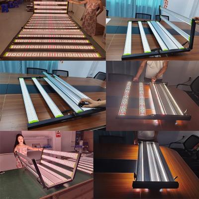 China Seed starting full spectrum 2022 plus to grow LED light 1000w indoor vegetable farm1800w Ecospeed LED to grow light for sale