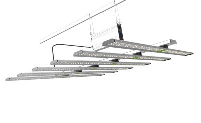 China Seed starting 2022 led grow light bar yh strategist 600w 800w plant grow light for grow mounting system for sale