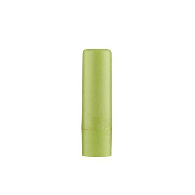 China New Cosmetic Wholesale Empty Plastic Mold Lipstick Container Lip Balm Tube 4.8g for sale