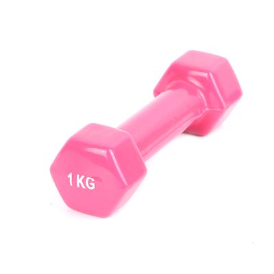 China Factory Wholesale Durable Equipment Customizable Logo Color Dumbbell Vinyl Dipping Dumbbell Set for sale