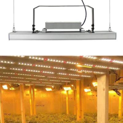 China 1 New Un-foldable Full Spectrum 0-10V 80W Samsung LM301B 301H Dimmable Waterproof LED Bar Plant Grow Lights For Farm Indoor Medical Greenhouse for sale