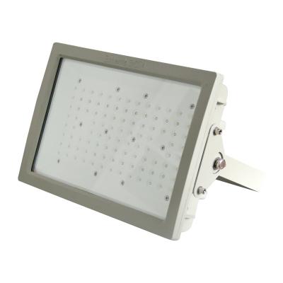 China CE ROHS 80W 100W 150W 200W 250W 300W High Quality High Power LED Home Aluminum Explosion Proof Flood Lights For Gas Station for sale