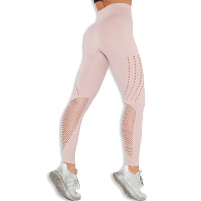 China 2020 Hot Selling Breathable Mesh Fitness Yoga Wear High Waist Not Camel Toe Leggings for sale