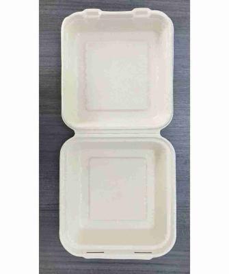 China Household Products 8 Inch Environmental Friendly Disposable Biodegradable Cardboard Disposable Tableware for sale