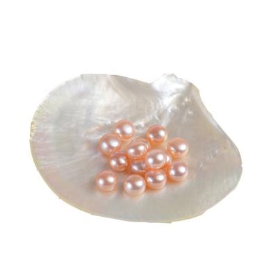 China Freshwater Pearl Wholesale 3A Grade Natural Freshwater Pearls Half Drilled Button Pearls Loose Pearls for sale