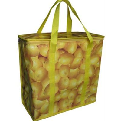 China Waterproof Non Woven Cooler Grocery Bag Tote Insulated Non Woven Cooler Bag for sale