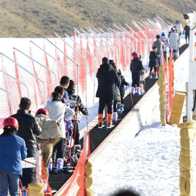 China Ski Resort/Amusement Park/Maker Scenic Spots Scenic Areas and Magic Ski Mat Lift for sale