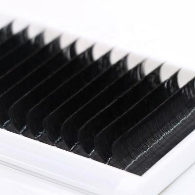 China glitter & Top Korean Shimmery Fiber PBT Synthetic Easy Fanning Eyelashes 8-17mm Volume Eyelash Extensions for sale