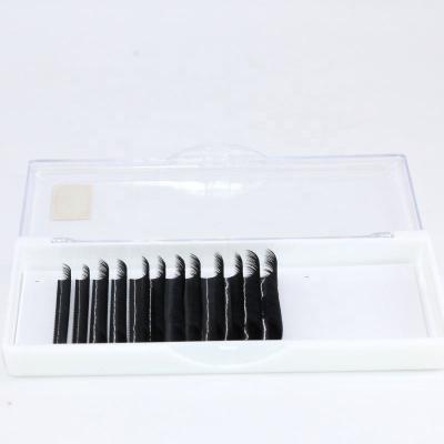 China Korean Camellia Eyelash Extensions 0.03Mm Natural Soft Strip Eyelash Volume Strands for sale