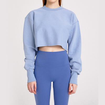 China High Quality Anti-wrinkle ZN Pullover Show Your Navel Women Plus Size Long Sleeve T-Shirt for sale