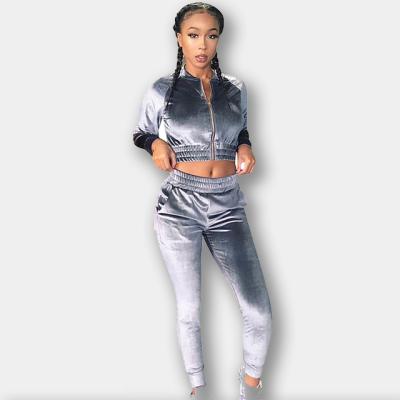 China ZN QUICK DRY Custom Sweat Suits Two Piece Sets For Ladies Casual Velvet Jogging Women's Suits for sale