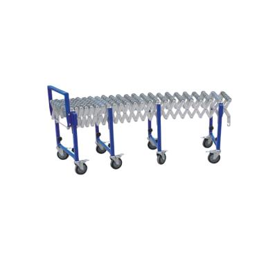 China ERC3M Stainless Steel Roller Brother Factory Price Extendable Plastic Roller Conveyor for sale