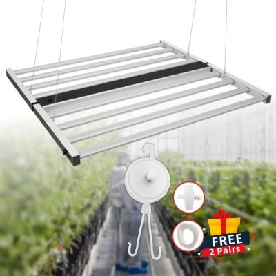 China Seed Starting RisenGreen EPP 3.4 Umol Cabbage 450W Indoor Extra Vertical CE Rohs Adjustable 600 Thousand Watt Spectra Led To Grow Light for sale