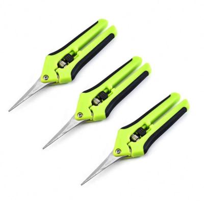 China Professional Pruning Plant Cuting Comfort Grip Handle Grafting Tool Pruner Horticulture Tip Garden Straight Curved Leaf Balancing Scissors for sale