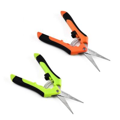 China Stainless Steel Anti-Slip Handle Lifted Blade Mini Gardener Grape Pruner Pruning Green Garden Scissors For Branch for sale