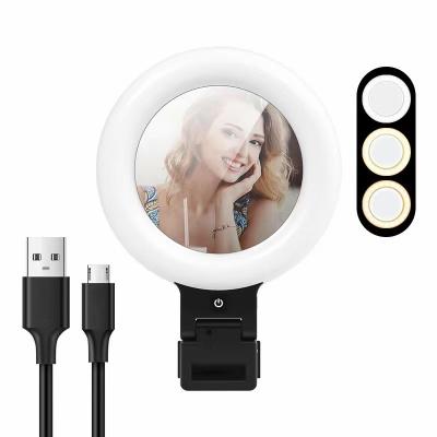 China Mini Mirror 4 4.5 6inch Makeup Vlogger Video Conference Tik Tok Online Shopping Ring Light For Sale for sale