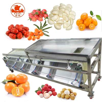 China Fruit Sorter Tomato Onion Dimension Sorting Grading Machine Fruit and Vegetable Sorting Machine for sale