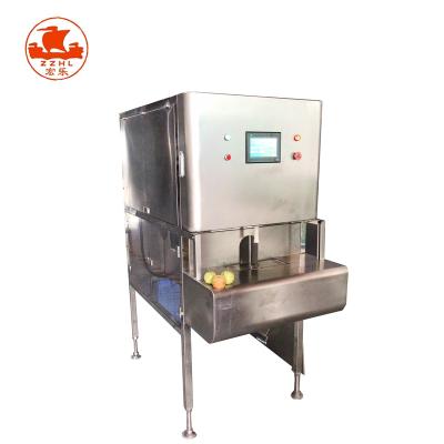 China High quality tropical fruit skin peeler mango peeling machine for frozen food processing factory for sale