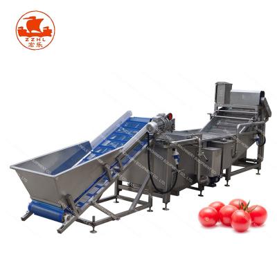 China Factory sale low price hot commercial cherry tomato washing bubble cleaning machine for sale