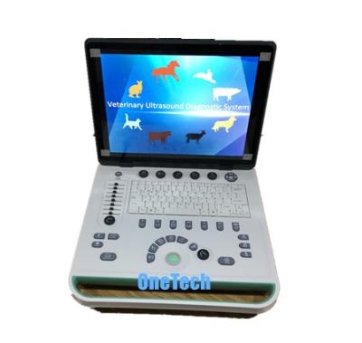 China B13vet-N Dog Cat Ultrasound Scanner 2D/3D Laptop Portable Veterinary Animal Ultrasound B13 B13 for sale