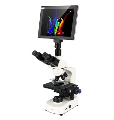 China 2048x1536 2048x1536 High Resolution 9.7' LCD Digital Microscope Digital Biological Microscope With Monitor for sale