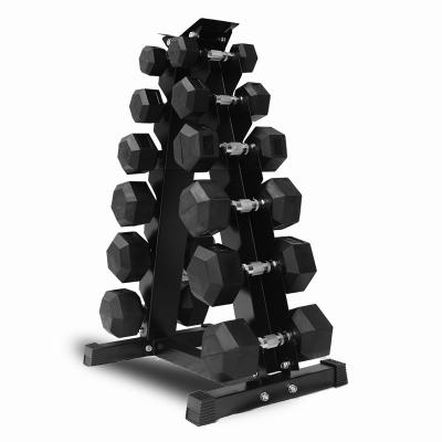 China Modern Wholesale Gym Multi Adjustable Weight Dumbbell Bench for sale