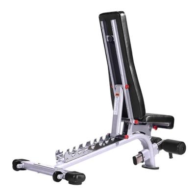 China Modern Adjustable Bench Multi Gym Exercise Equipment Dumbbell Bench for sale