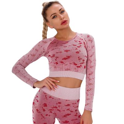 China 2021 New Arrival Women Yoga Breathable Fitness Yoga Exercise Long Sleeve Crop Top for sale