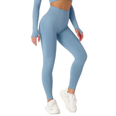 China Fashion Sale Fashion Yoga Pants Warm Breathable Seamless Gym Leggings High Waist Leggings For Woman for sale