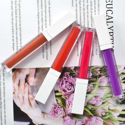 China Waterproof Custom Logo Lipstick Private Label Lip Gloss With Low MOQ Makeup For 50 Pcs Including Customized Package for sale